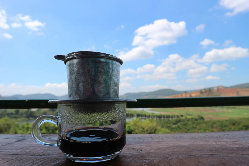 Kopi Luwak på kaffeplantage
